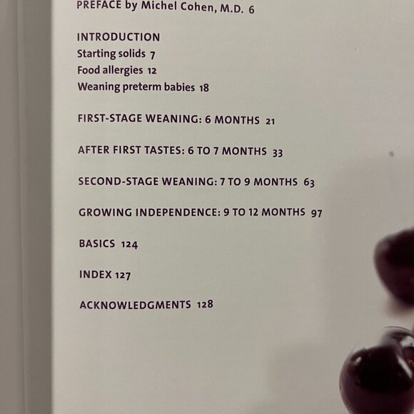 Top 100 Baby Purees Hardcover Book - NEW- Annabel Karmel - 2006 - Picture 2 of 3